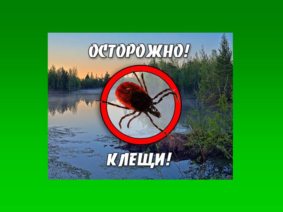 Рисунки осторожно клещи